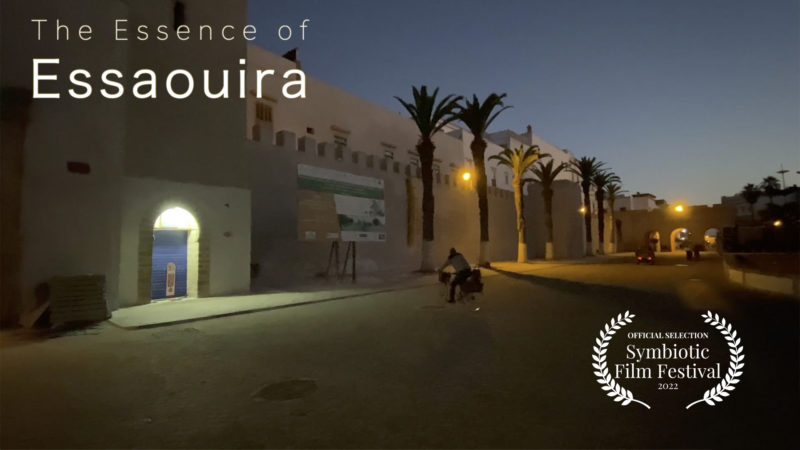 The Essence of Essaouira