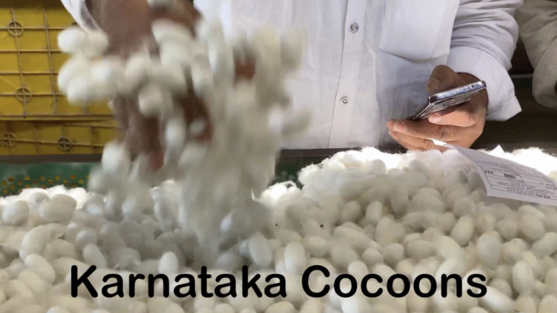 Karnataka Cocoons