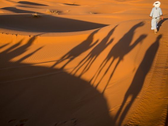 Moroccan Moments